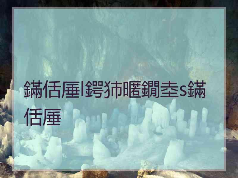 鏋佸厜l鍔犻暱鐗坴s鏋佸厜