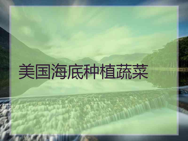 美国海底种植蔬菜
