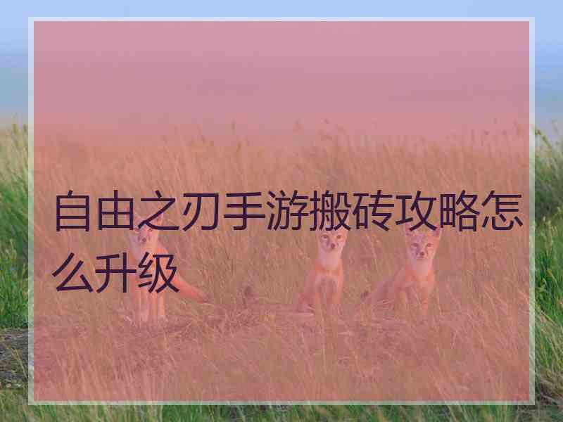 自由之刃手游搬砖攻略怎么升级