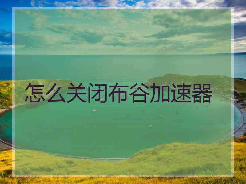 怎么关闭布谷加速器
