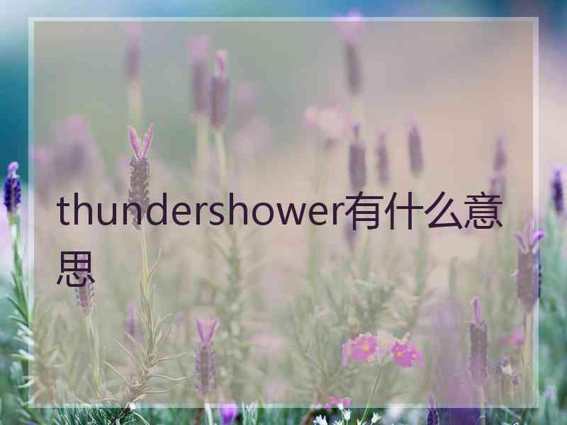 thundershower有什么意思