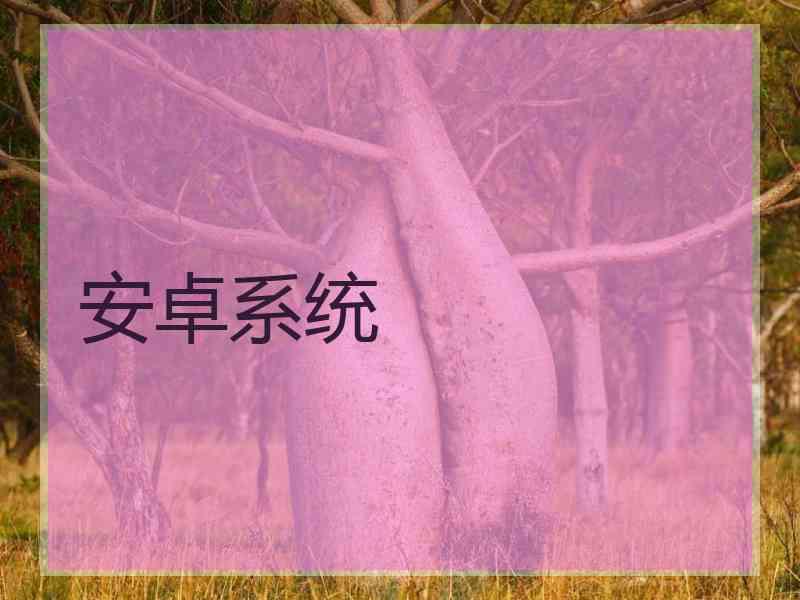 安卓系统