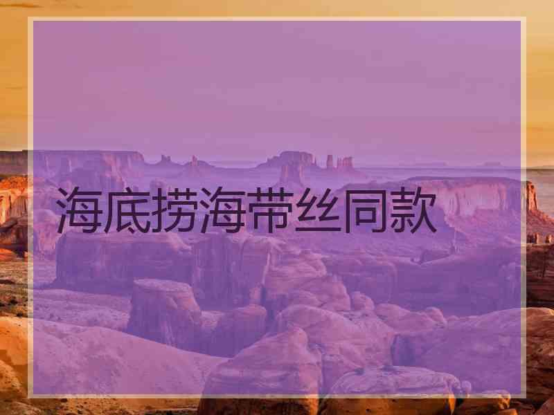 海底捞海带丝同款