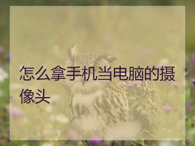 怎么拿手机当电脑的摄像头