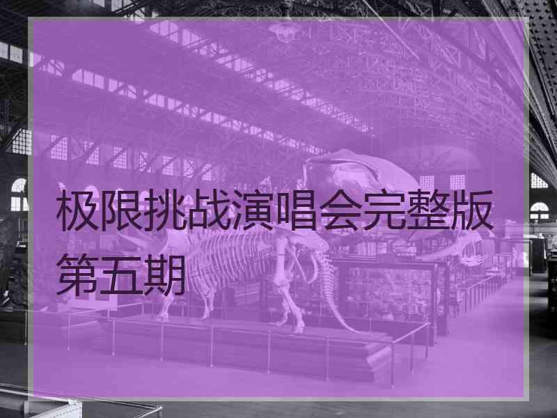 极限挑战演唱会完整版第五期