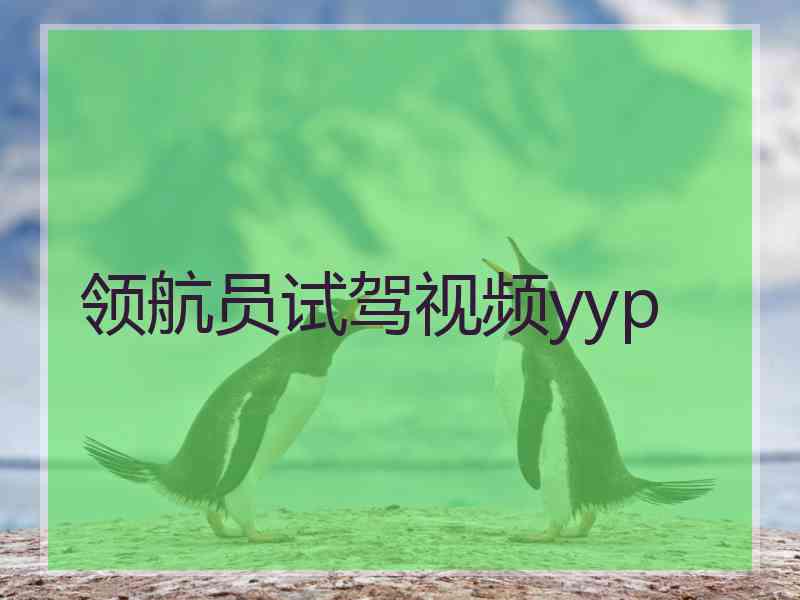 领航员试驾视频yyp