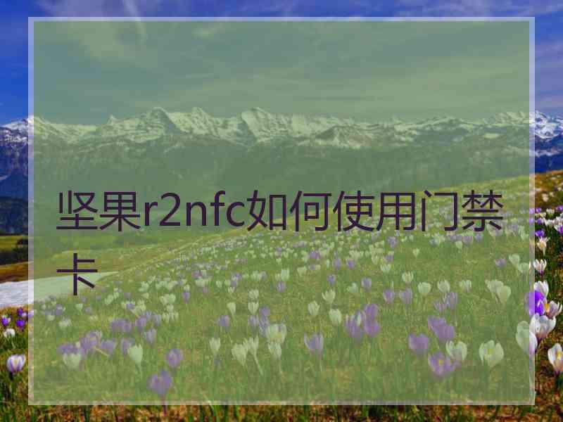 坚果r2nfc如何使用门禁卡
