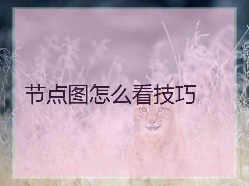 节点图怎么看技巧