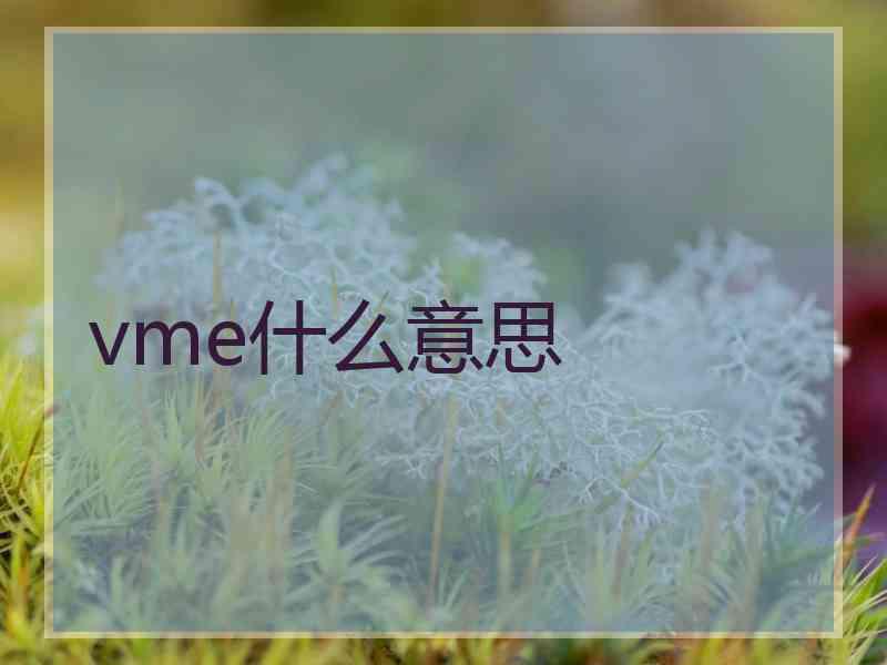 vme什么意思