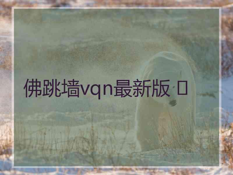 佛跳墙vqn最新版 	