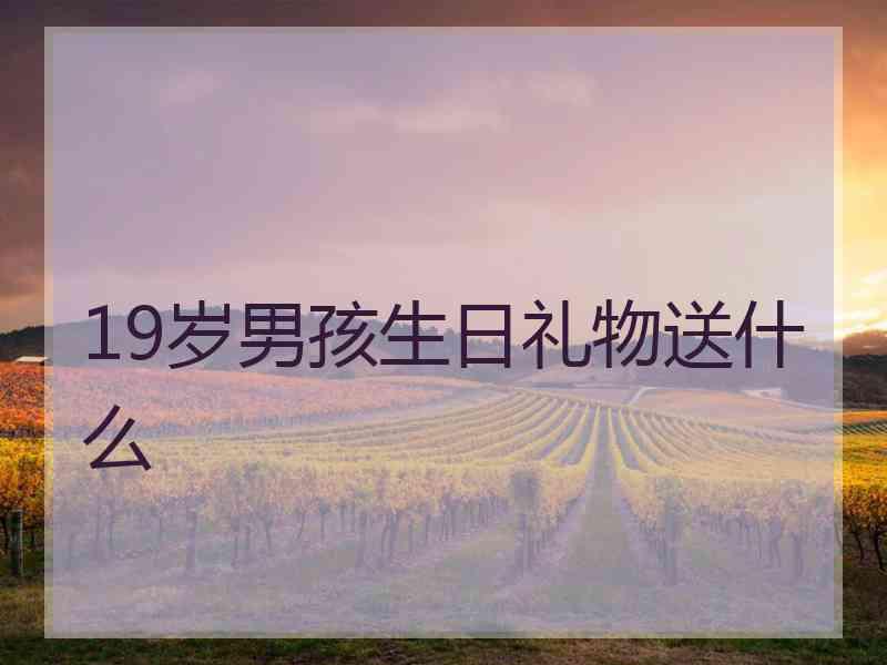 19岁男孩生日礼物送什么