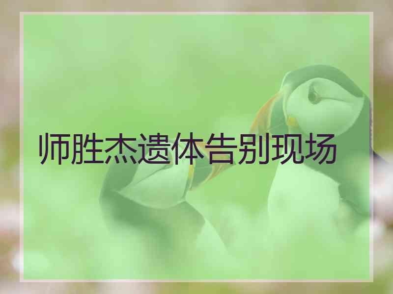 师胜杰遗体告别现场