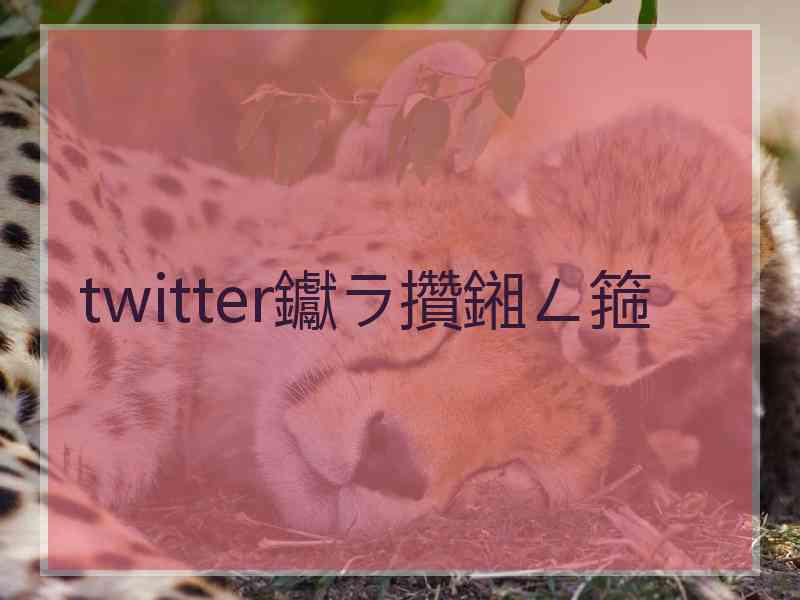 twitter钀ラ攢鎺ㄥ箍