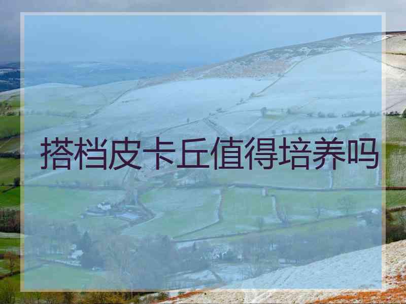 搭档皮卡丘值得培养吗