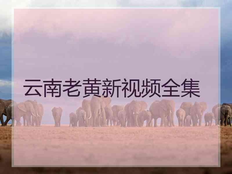 云南老黄新视频全集
