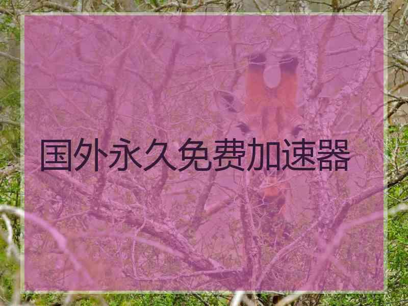 国外永久免费加速器