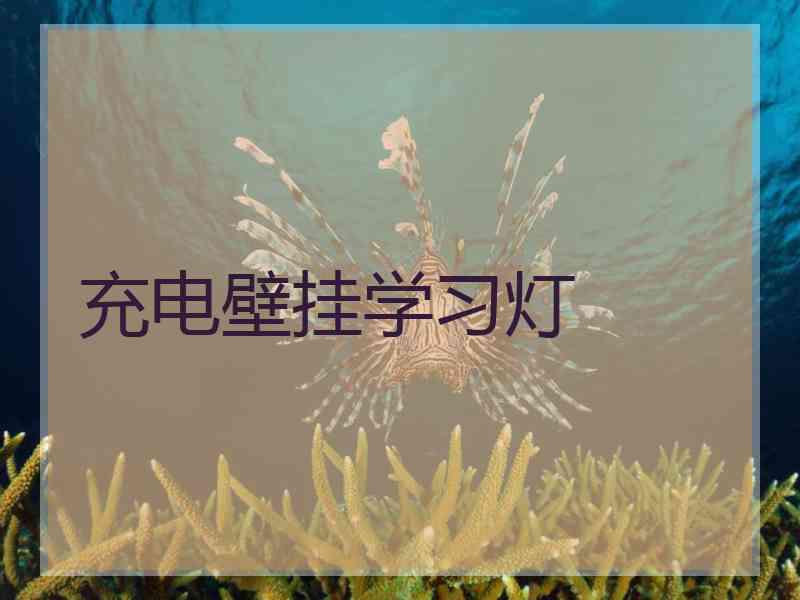 充电壁挂学习灯