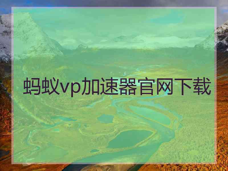 蚂蚁vp加速器官网下载