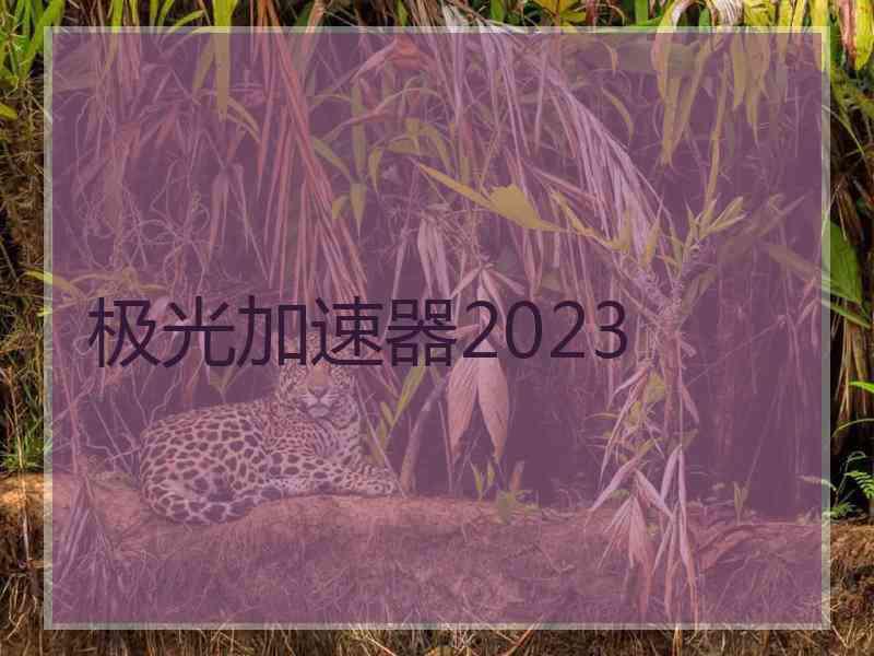 极光加速器2023