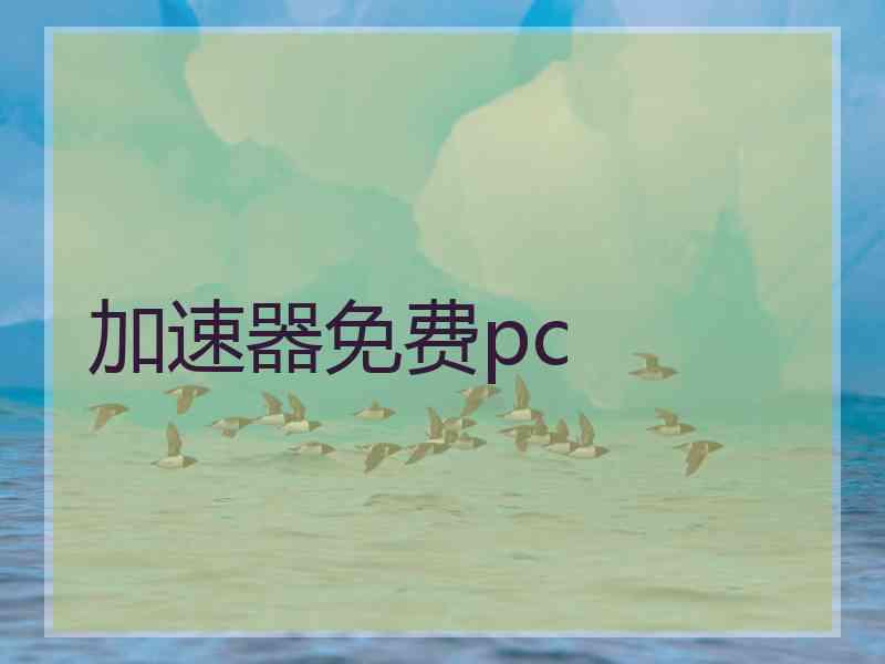 加速器免费pc