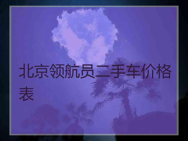 北京领航员二手车价格表