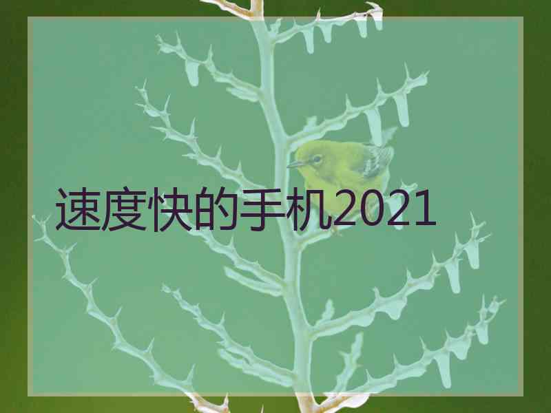 速度快的手机2021