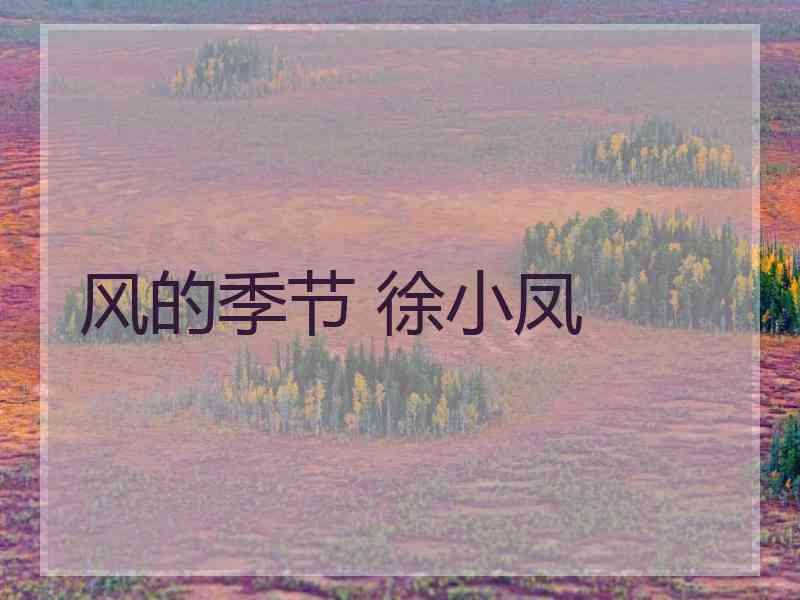 风的季节 徐小凤