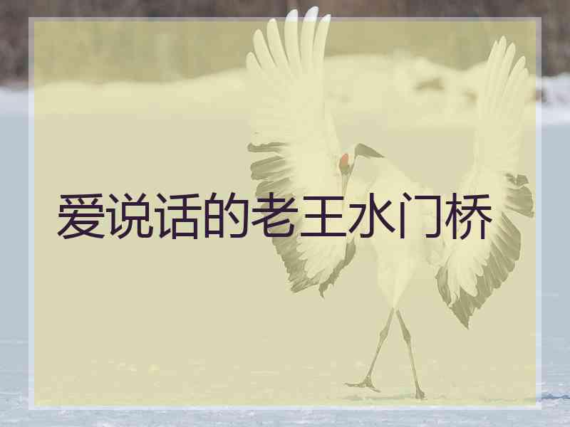 爱说话的老王水门桥