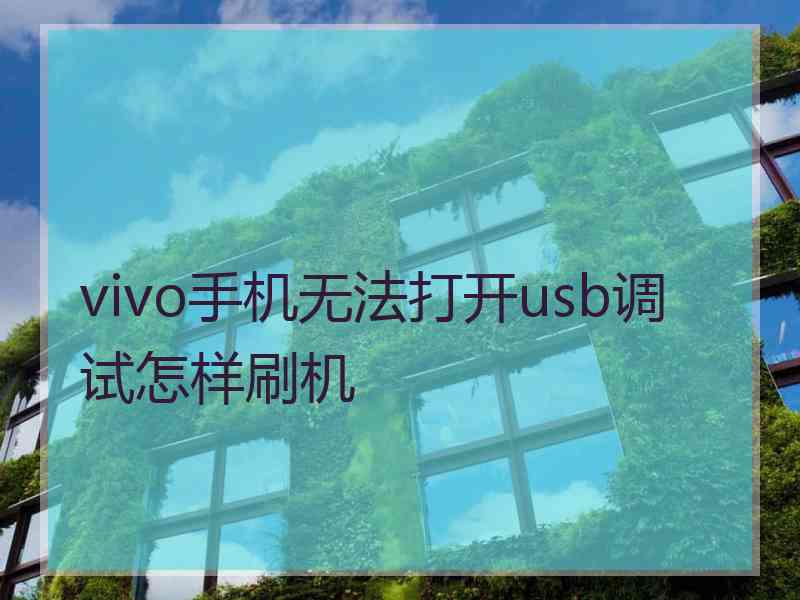 vivo手机无法打开usb调试怎样刷机