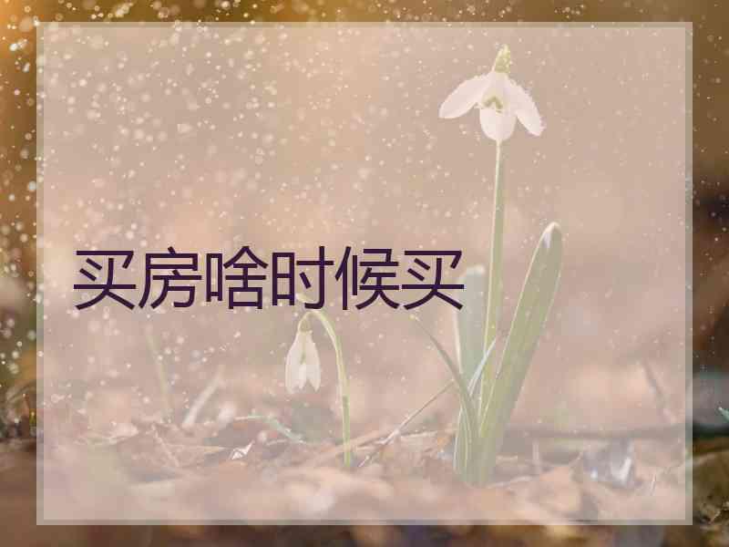 买房啥时候买
