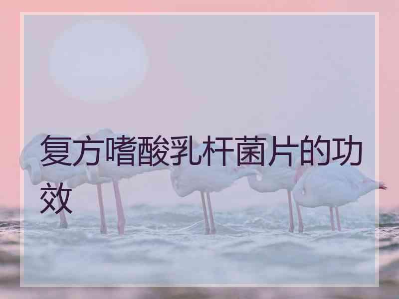 复方嗜酸乳杆菌片的功效