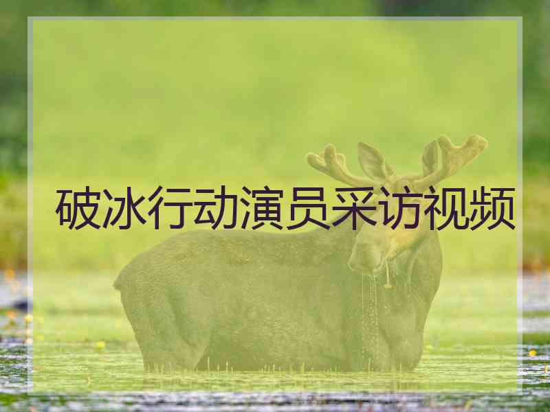 破冰行动演员采访视频