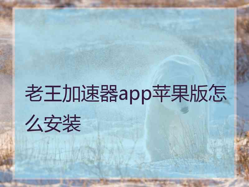 老王加速器app苹果版怎么安装