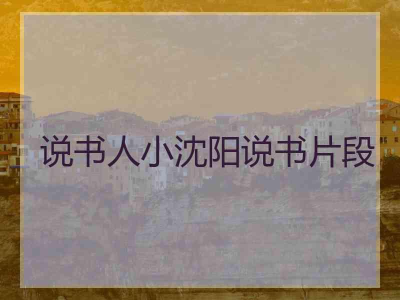 说书人小沈阳说书片段