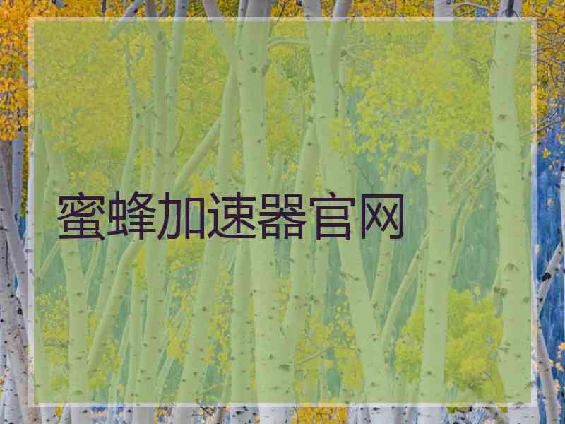 蜜蜂加速器官网