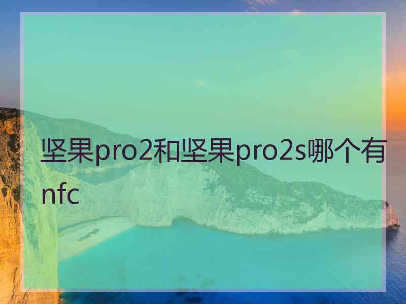 坚果pro2和坚果pro2s哪个有nfc