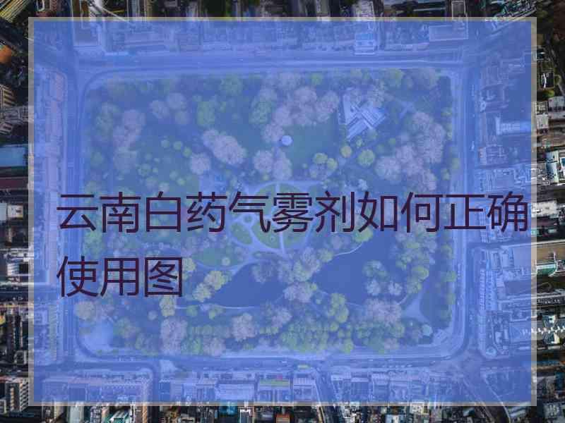 云南白药气雾剂如何正确使用图