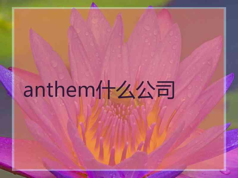 anthem什么公司
