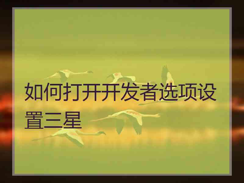 如何打开开发者选项设置三星