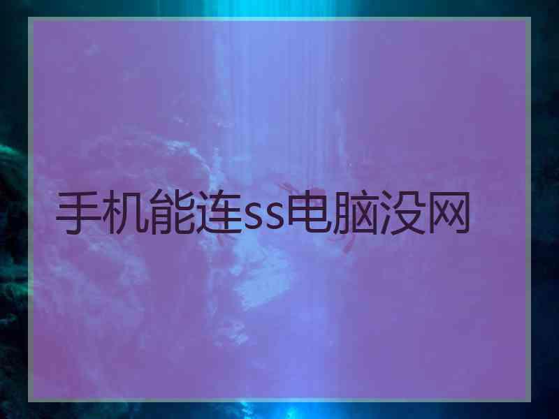 手机能连ss电脑没网