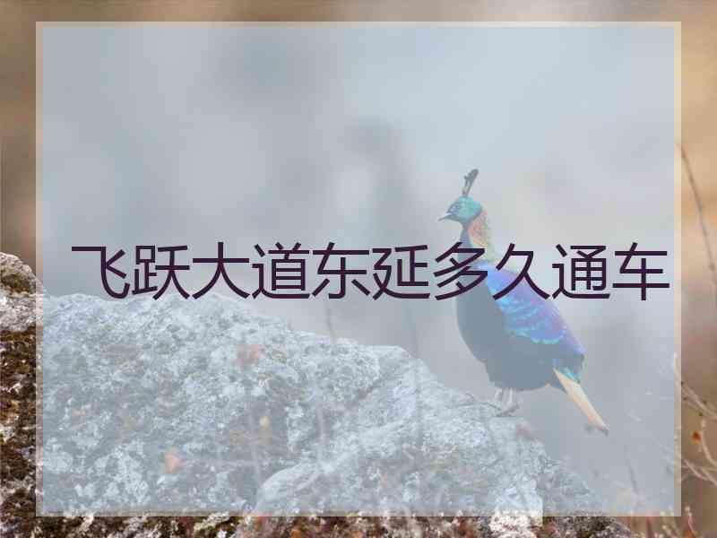 飞跃大道东延多久通车