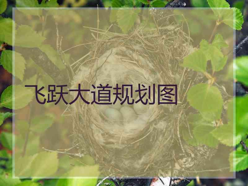 飞跃大道规划图