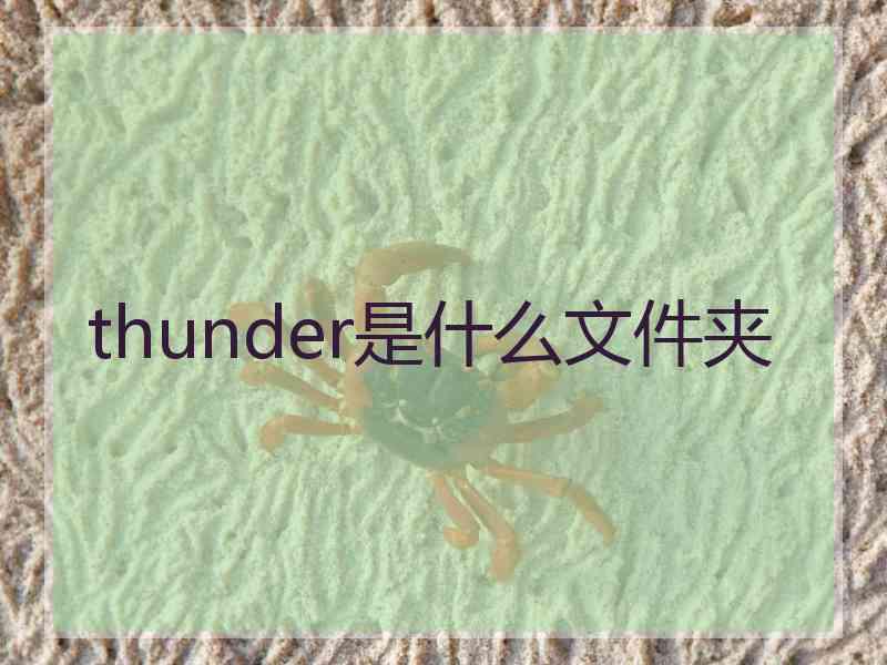 thunder是什么文件夹