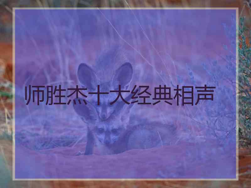 师胜杰十大经典相声