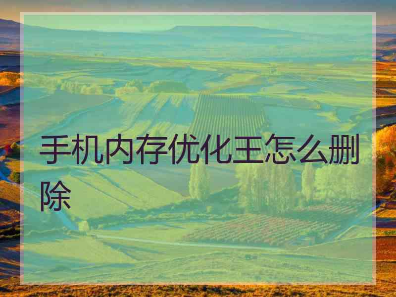 手机内存优化王怎么删除