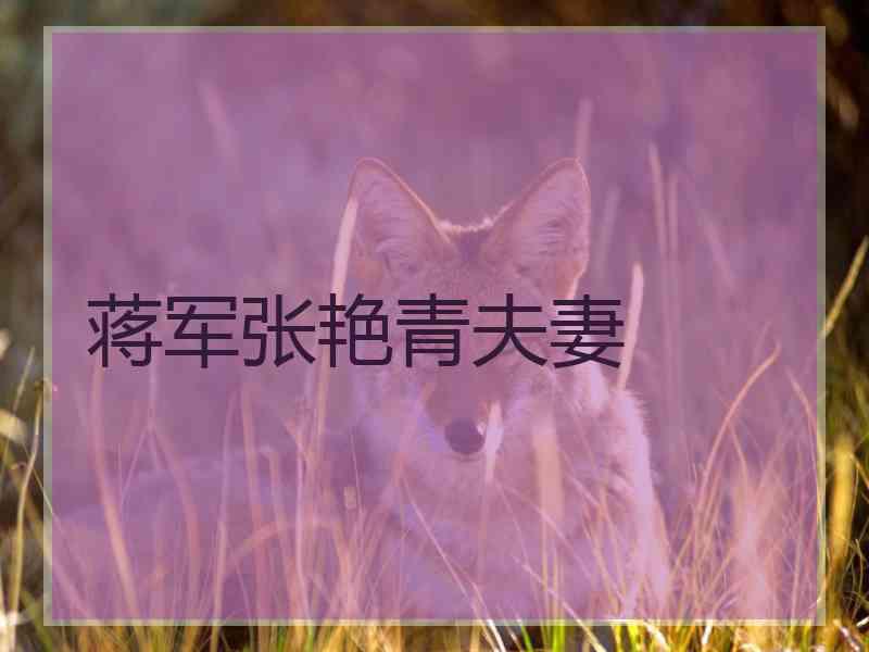 蒋军张艳青夫妻