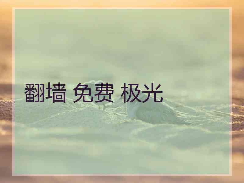 翻墙 免费 极光