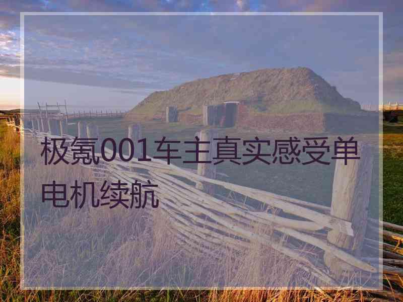 极氪001车主真实感受单电机续航