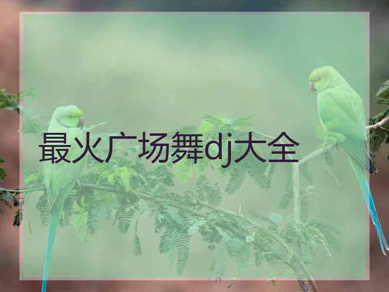 最火广场舞dj大全