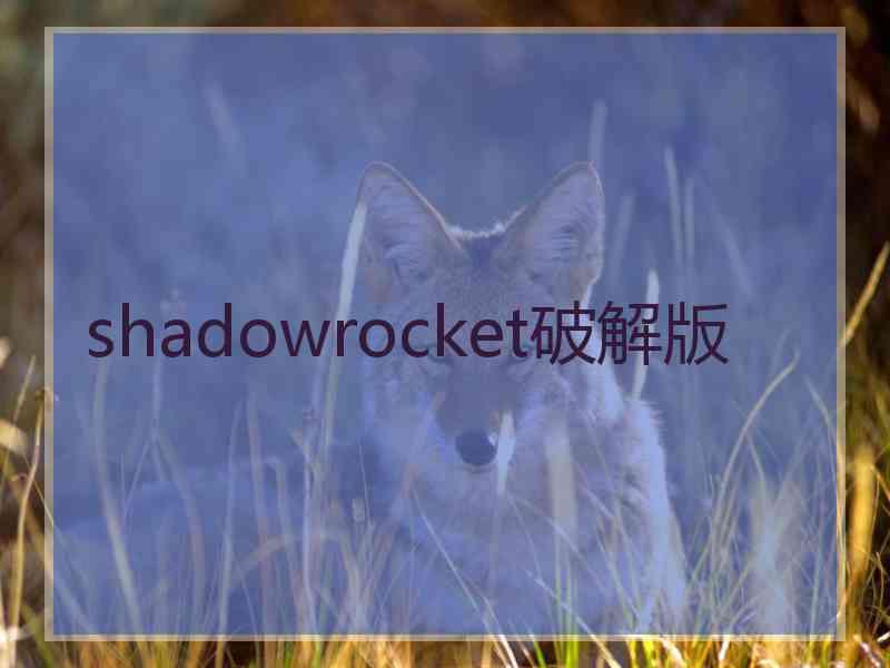 shadowrocket破解版